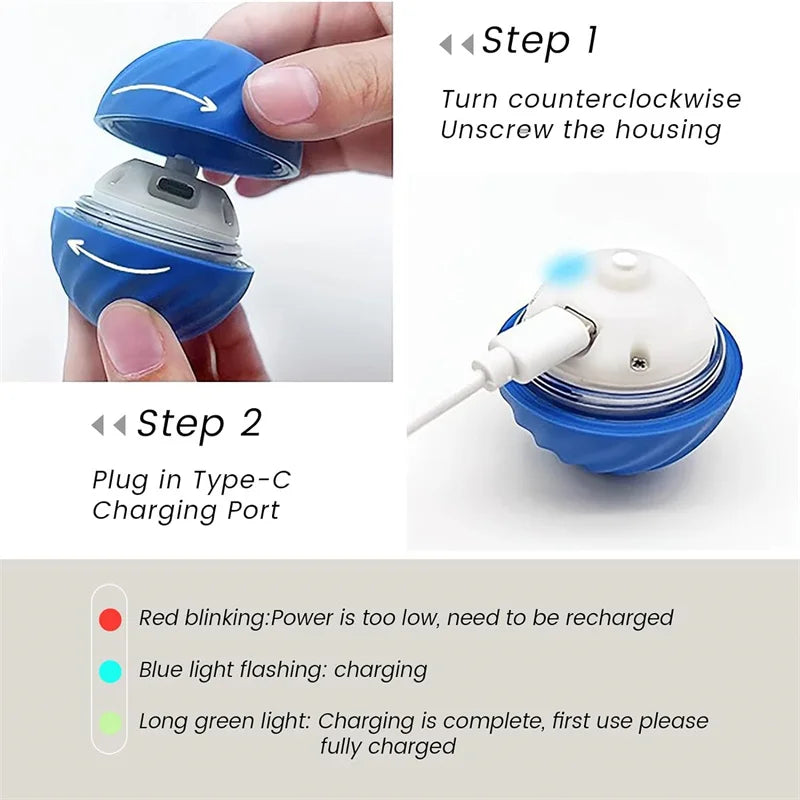 SmartBall interactive Dog Toy