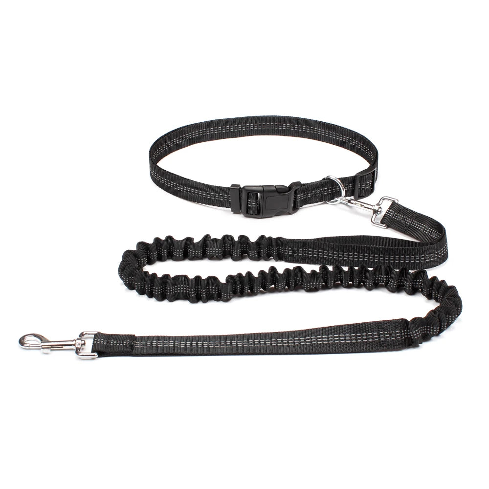 Hand Free Dog Leash for Pet Walking | Jogging | Running