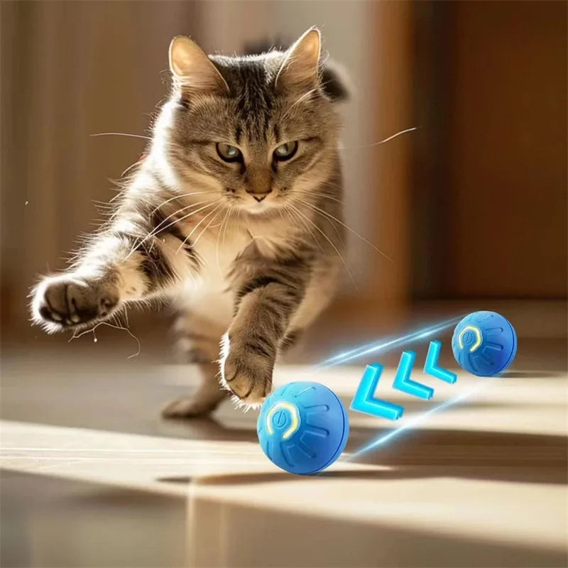 SmartBall interactive Dog Toy