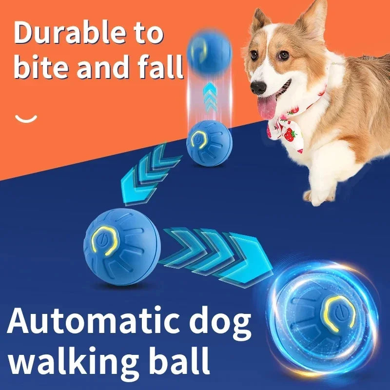 SmartBall interactive Dog Toy