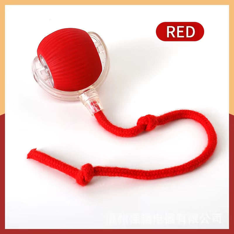 SmartBall interactive Dog Toy