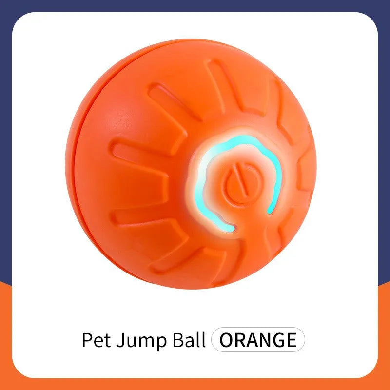 SmartBall interactive Dog Toy