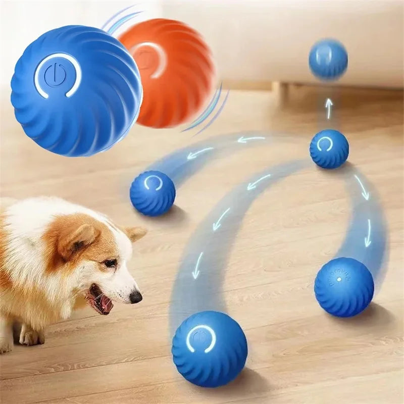 SmartBall interactive Dog Toy