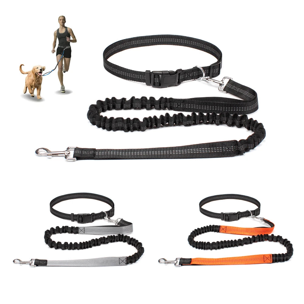 Hand Free Dog Leash for Pet Walking | Jogging | Running