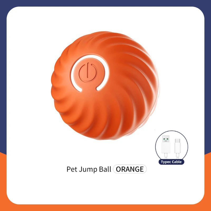 SmartBall interactive Dog Toy
