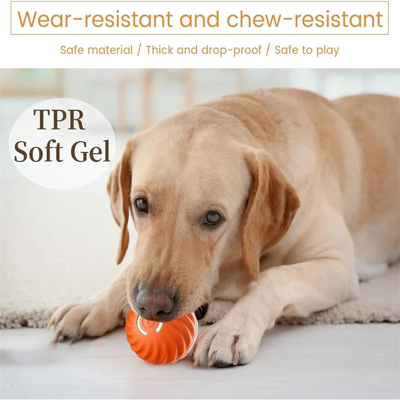 SmartBall interactive Dog Toy