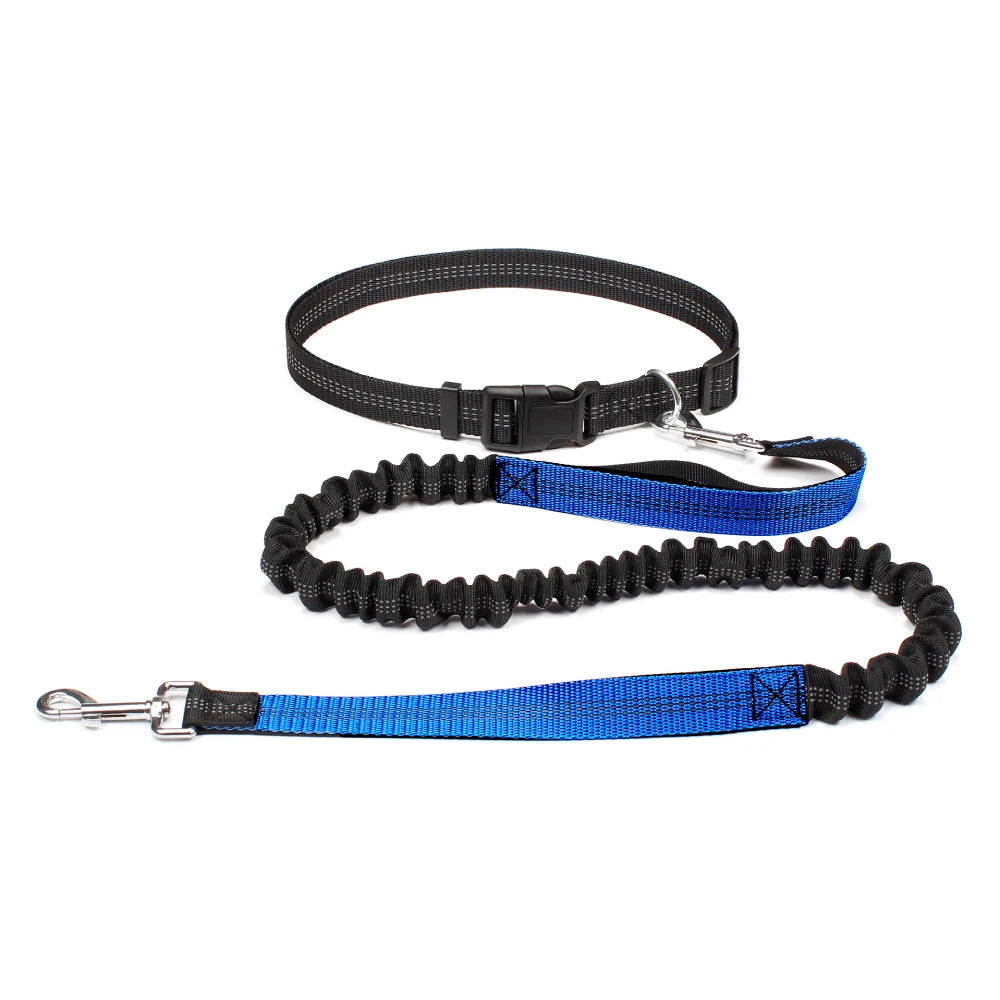 Hand Free Dog Leash for Pet Walking | Jogging | Running