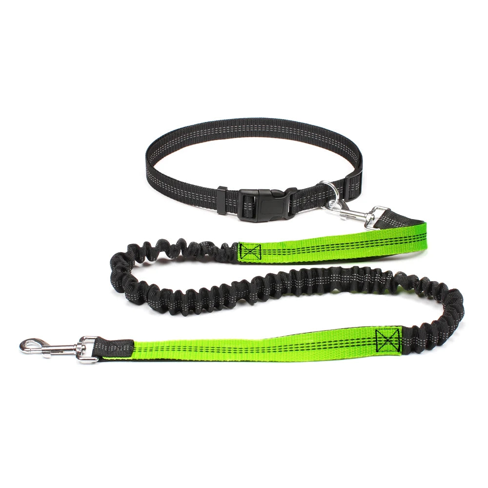 Hand Free Dog Leash for Pet Walking | Jogging | Running