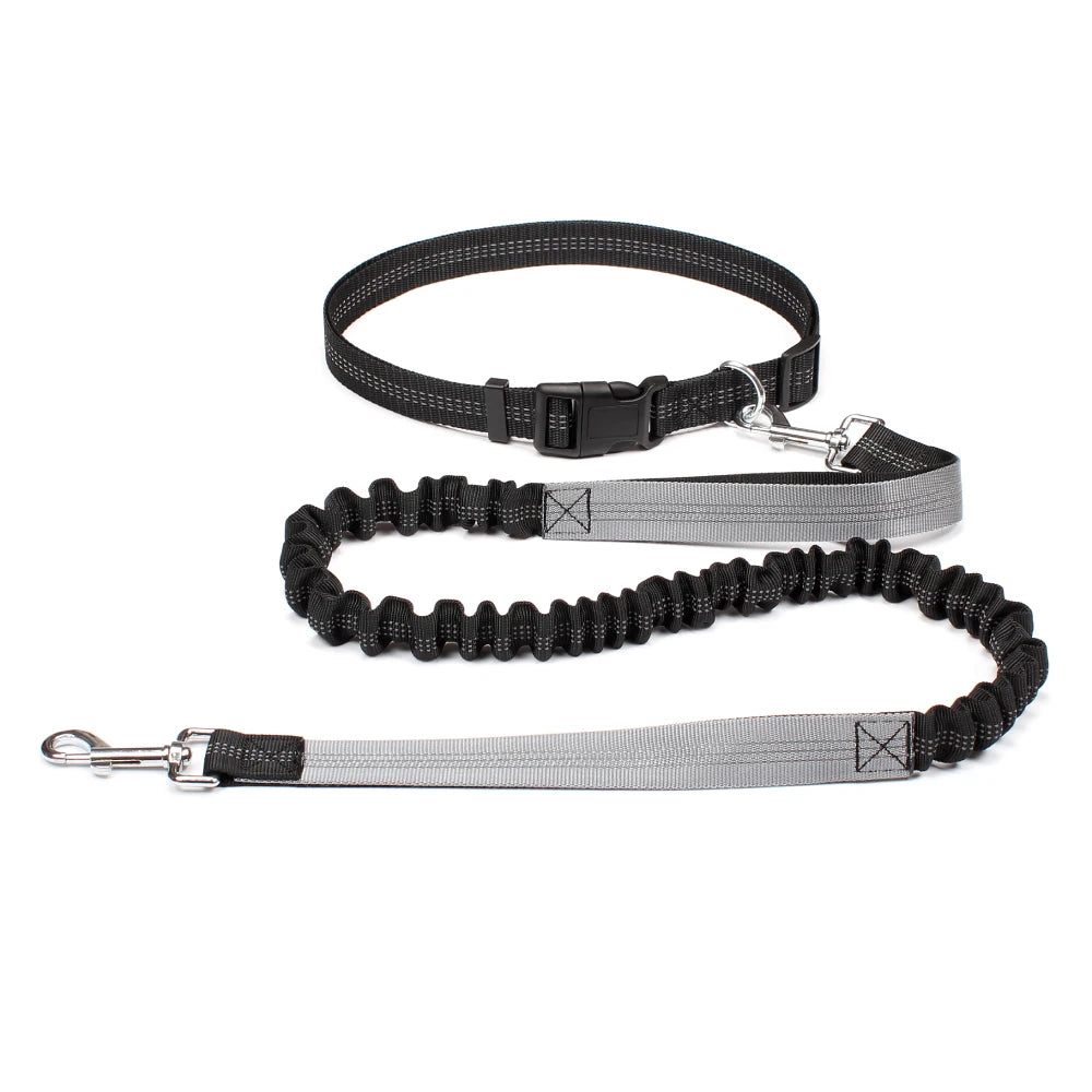 Hand Free Dog Leash for Pet Walking | Jogging | Running