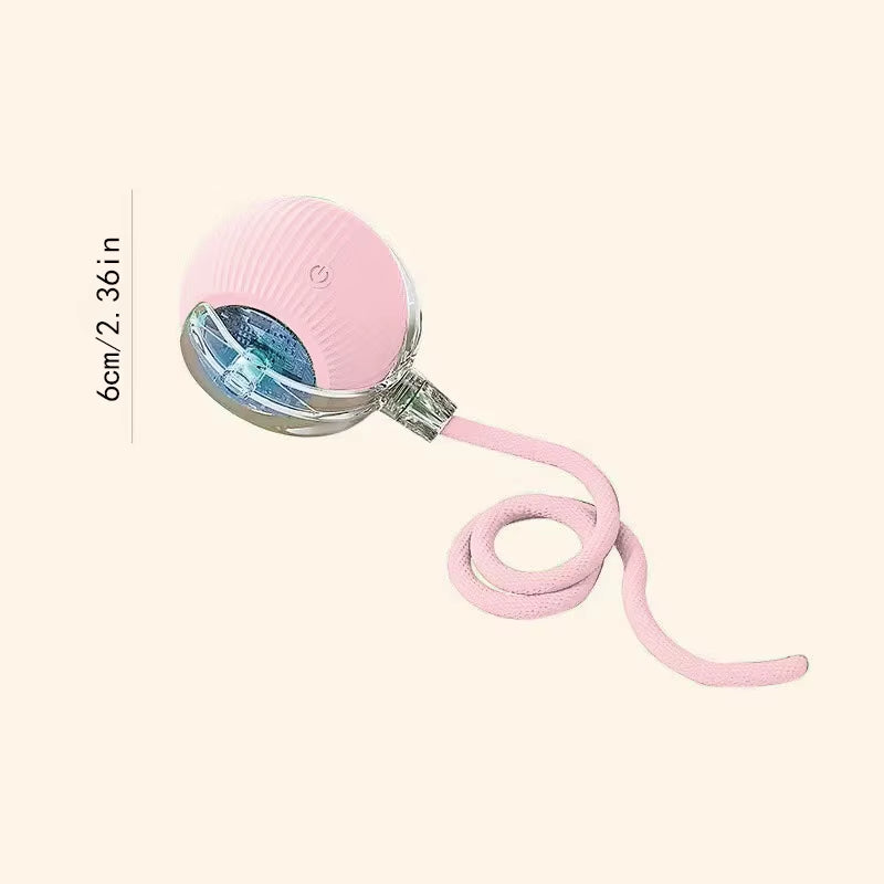 SmartBall interactive Dog Toy