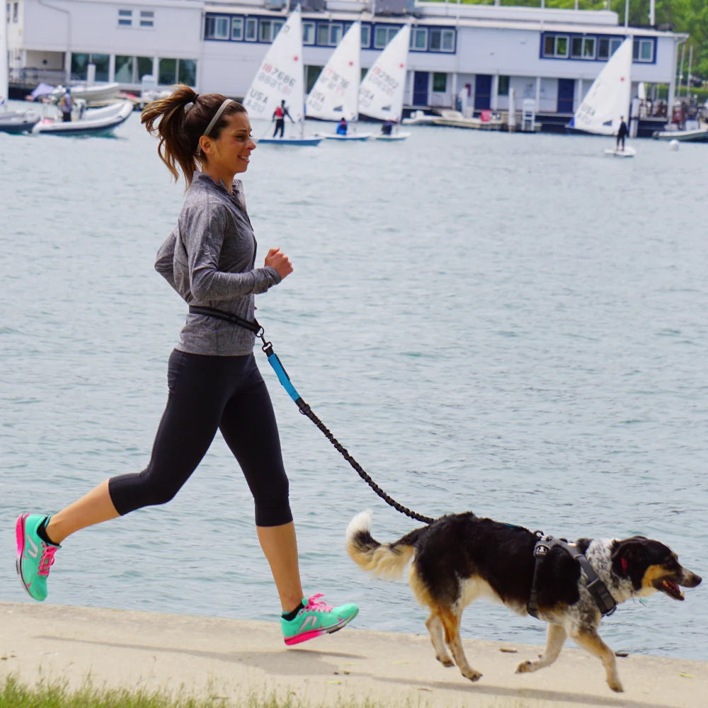 Hand Free Dog Leash for Pet Walking | Jogging | Running