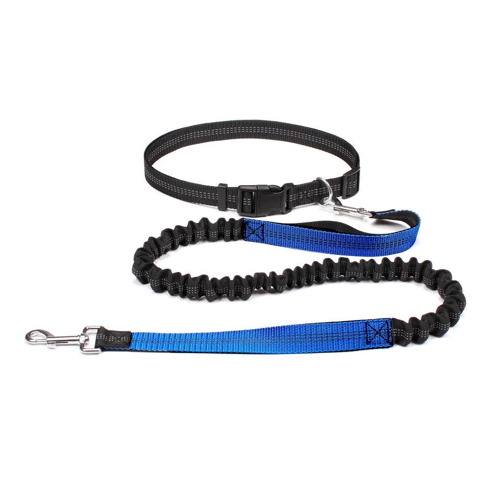 Hand Free Dog Leash for Pet Walking | Jogging | Running
