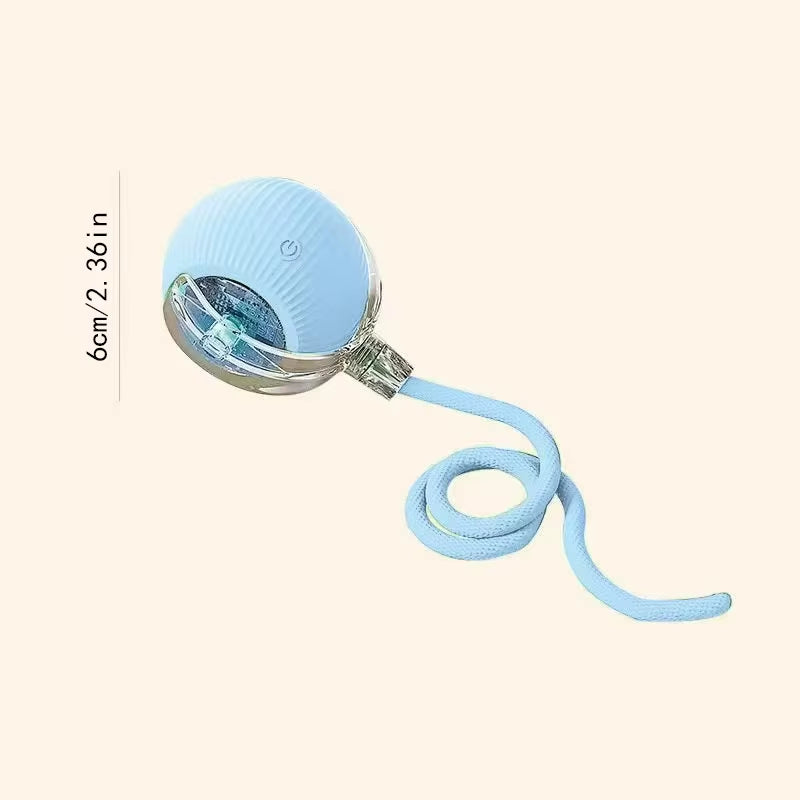 SmartBall interactive Dog Toy