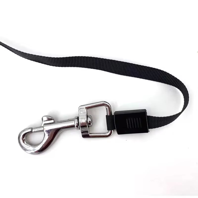 3 Meters / 5 Meters Retractable Dog Leash (Sm | Med | L)