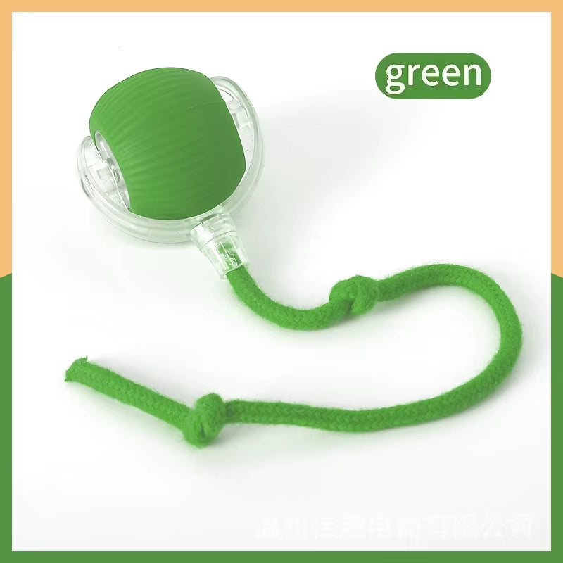 SmartBall interactive Dog Toy