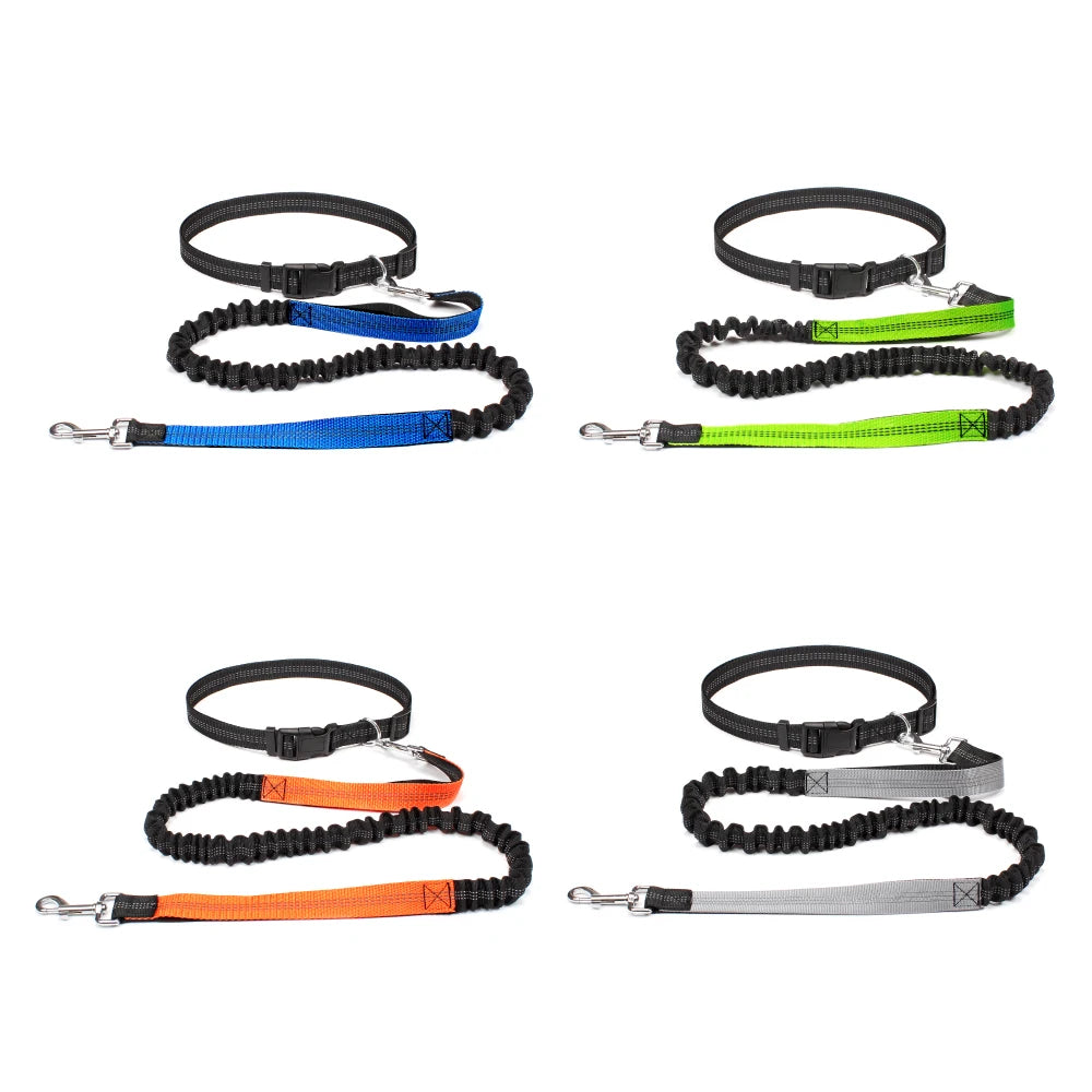 Hand Free Dog Leash for Pet Walking | Jogging | Running