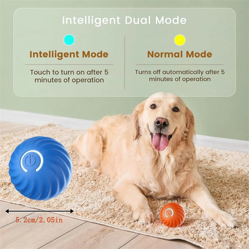 SmartBall interactive Dog Toy