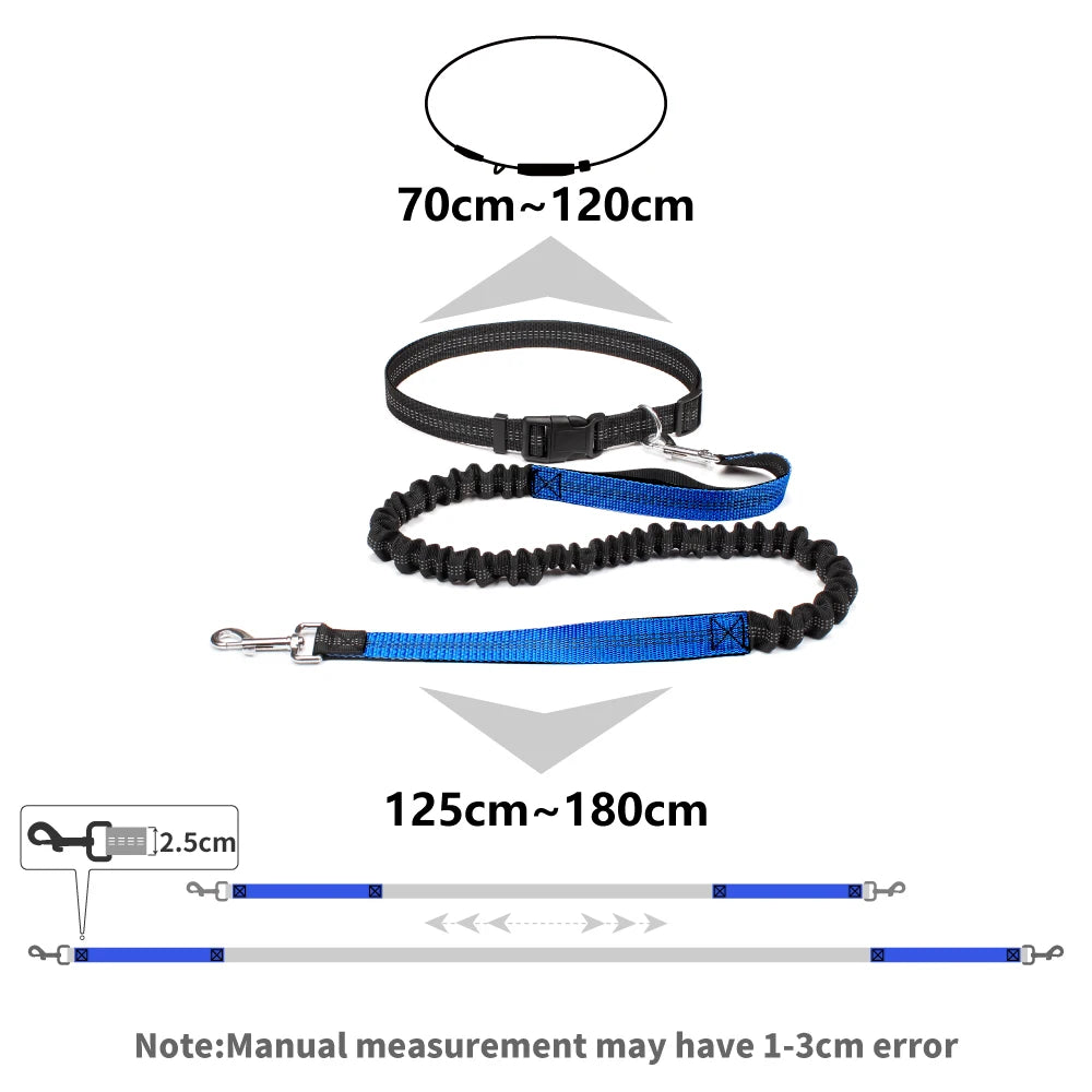 Hand Free Dog Leash for Pet Walking | Jogging | Running