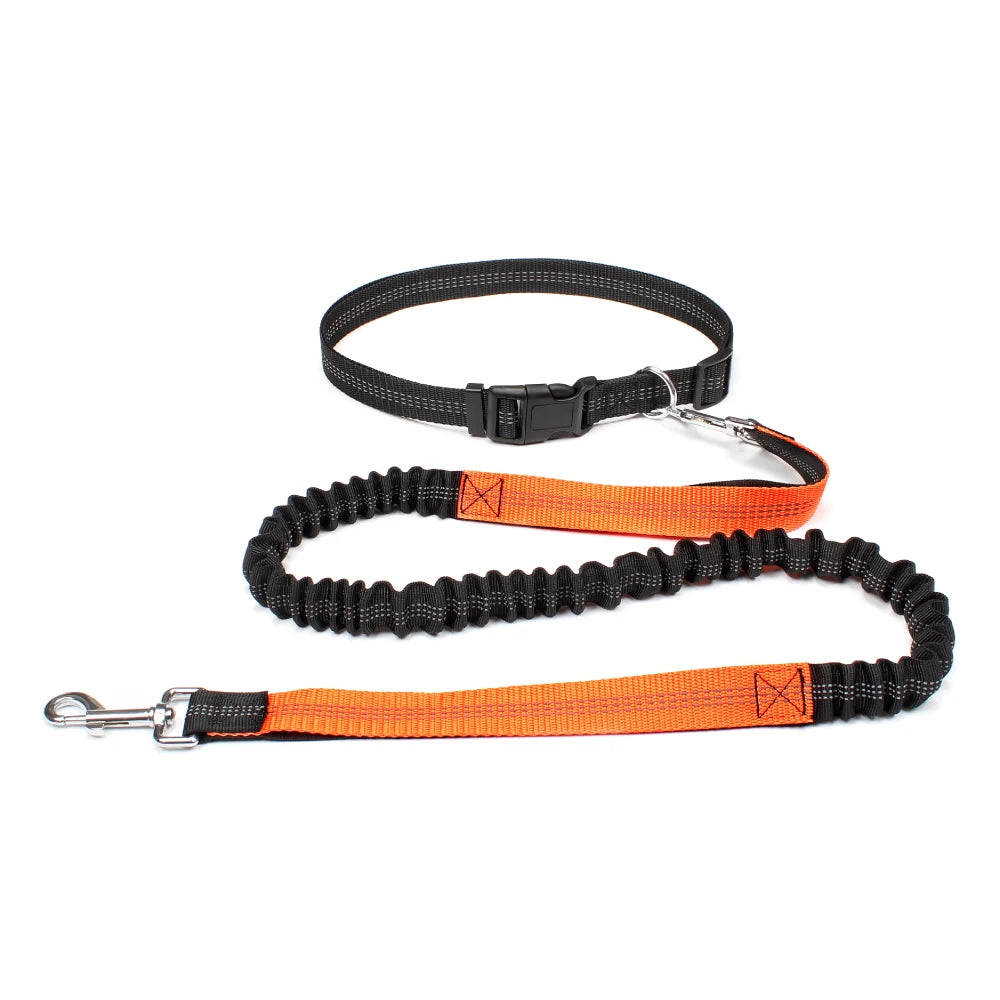 Hand Free Dog Leash for Pet Walking | Jogging | Running