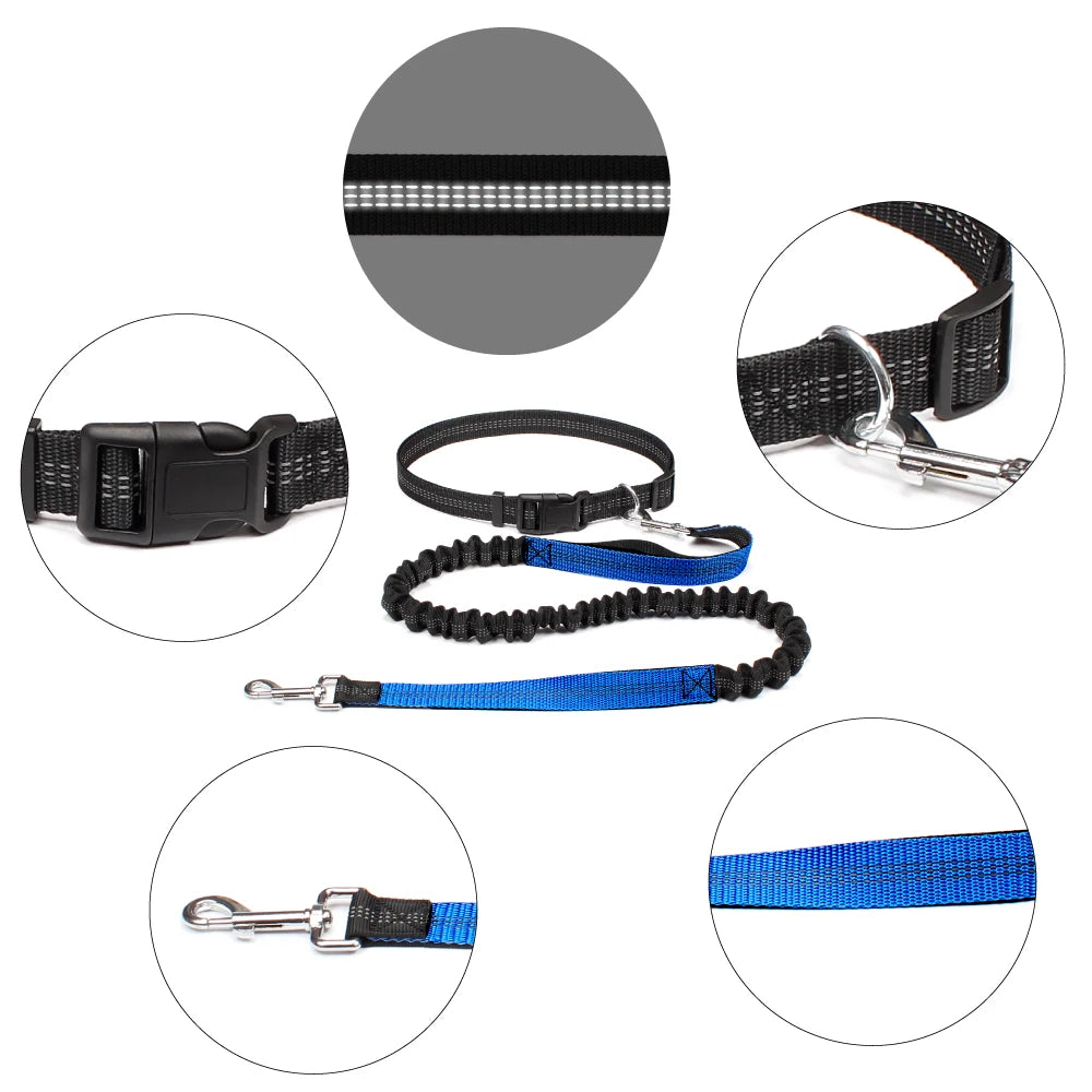 Hand Free Dog Leash for Pet Walking | Jogging | Running
