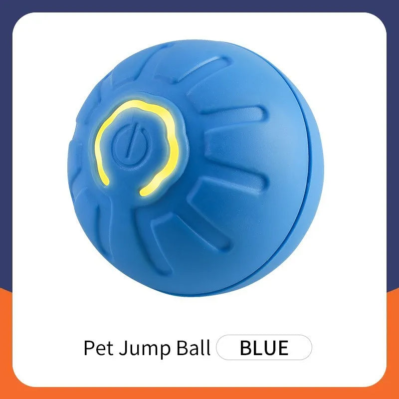 SmartBall interactive Dog Toy