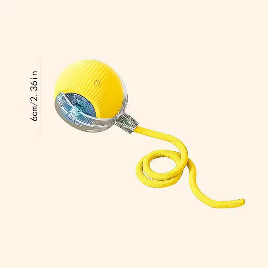 SmartBall interactive Dog Toy